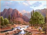 DesertBeautySm