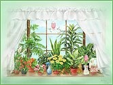 TheLoveOfPlantsSm