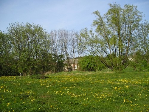 P1010001