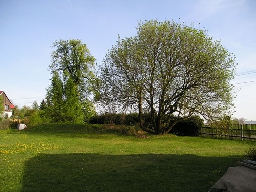 P1010002
