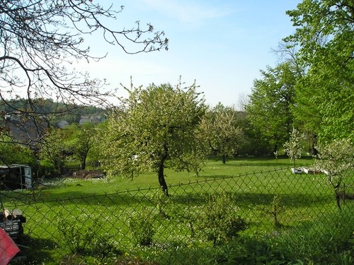 P1010003