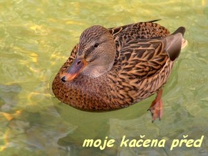 1572