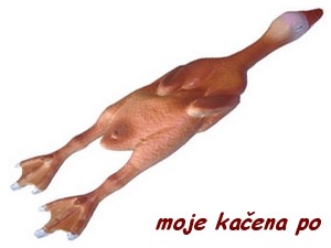 1573