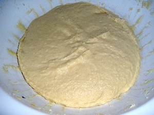 P1010073