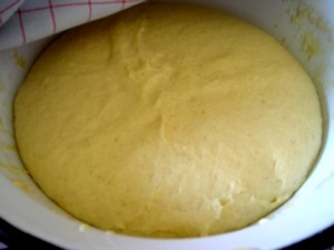 P1010076