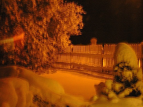 P1010039