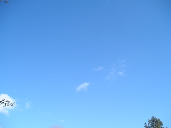P1010090