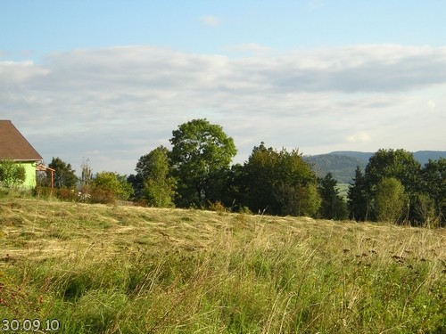 P1010156