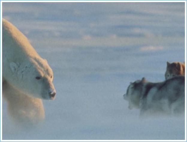 image001