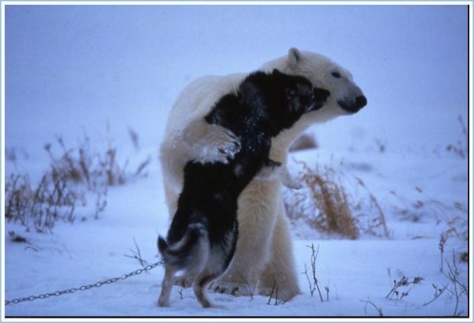 image003