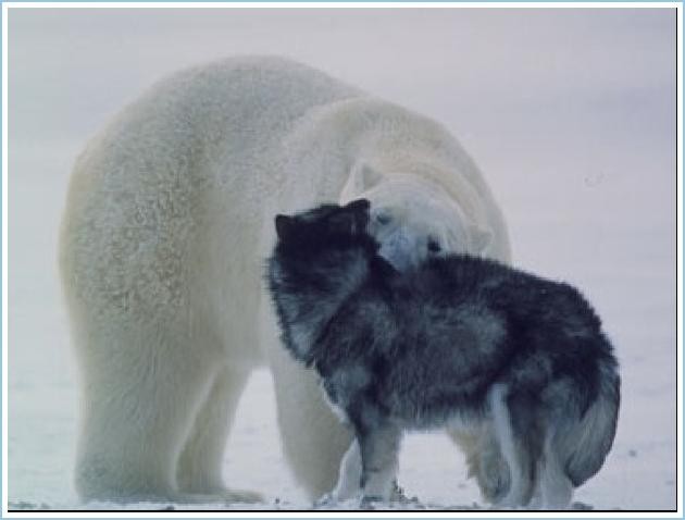 image005
