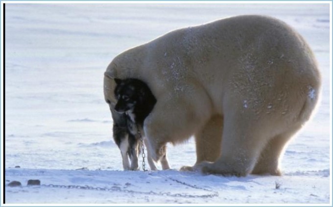 image006