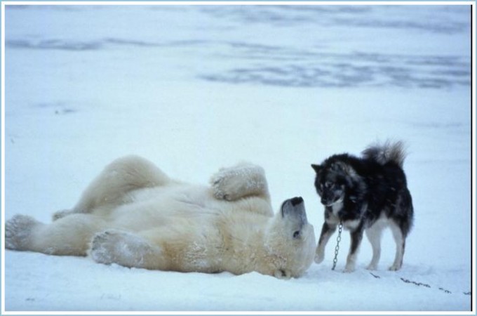 image008