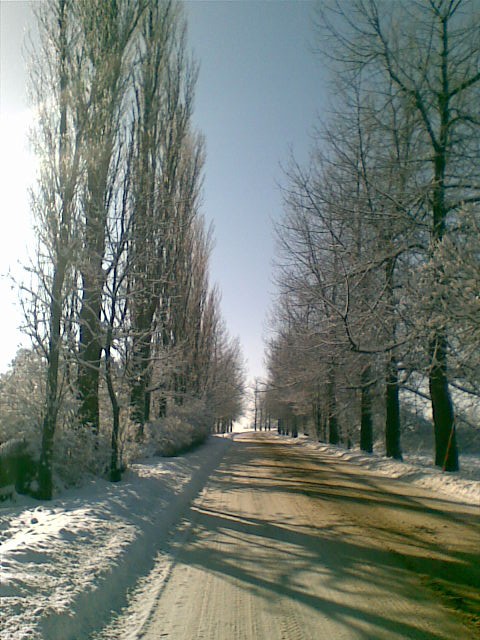 Obraz024
