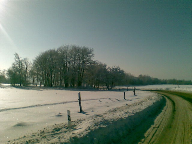 Obraz036
