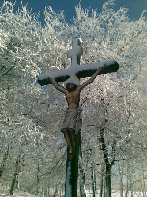 Obraz040