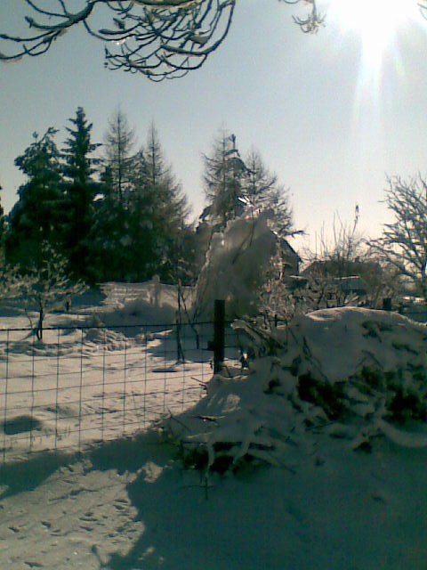 Obraz049