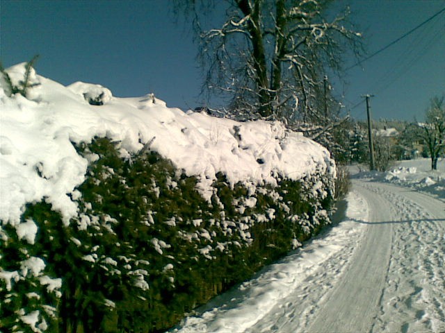 Obraz054