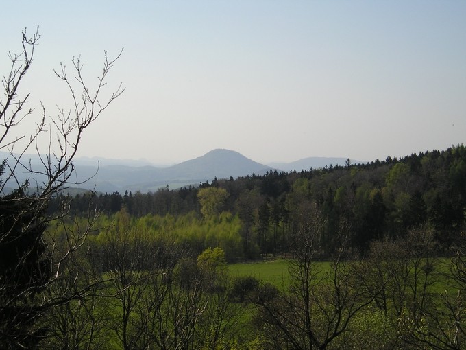 P1010273