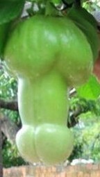 41096
