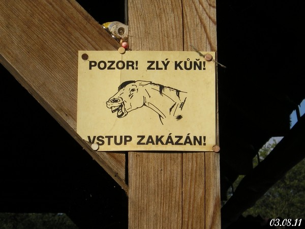 P1010231