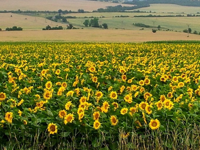 20120705_174042