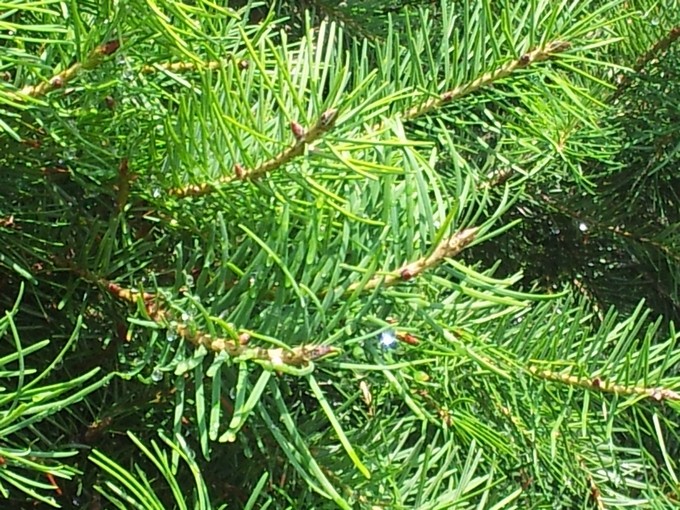 20120803_151844