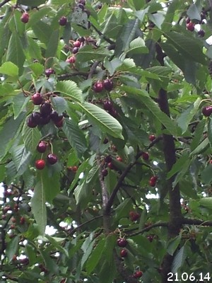 20140621_133156