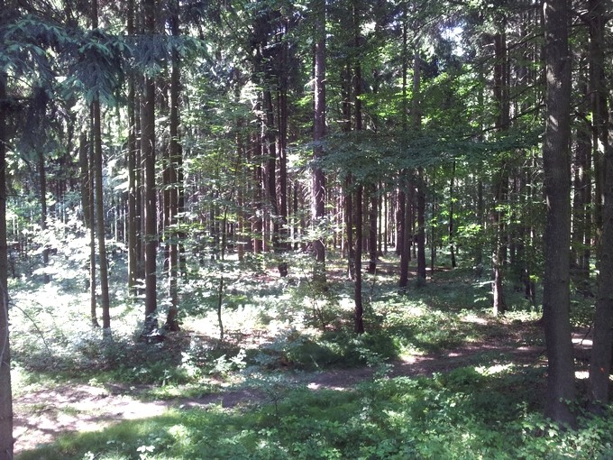 20140623_155842