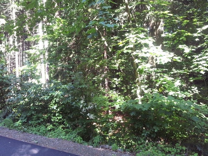 20140623_155901