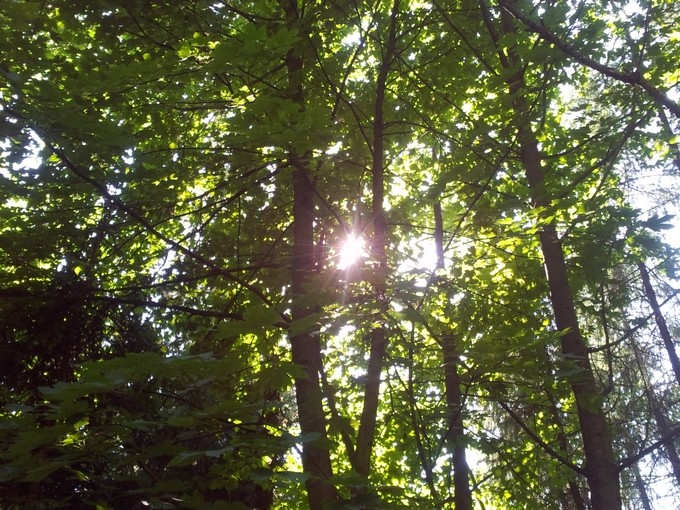 20140623_162227
